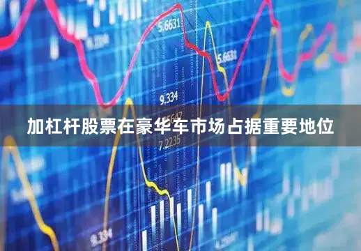 加杠杆股票在豪华车市场占据重要地位