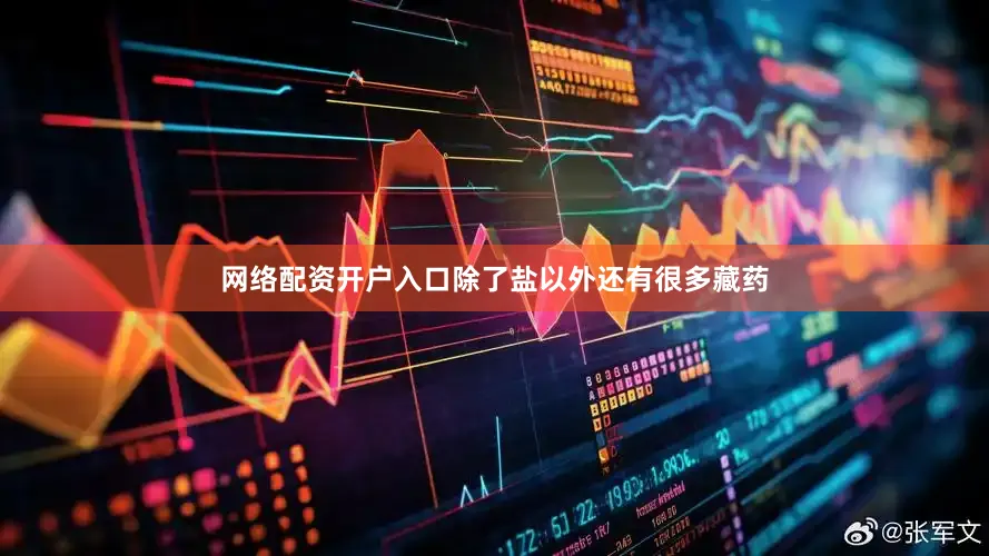 网络配资开户入口除了盐以外还有很多藏药